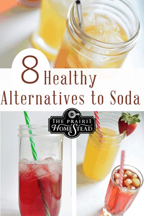 8 Healthy Alternatives to Soda • The Prairie Homestead Soda Replacement Drinks, Club Soda Drinks, Soda Substitute, Soda Drinks Recipes, Soda Stream Recipes, Soda Alternatives, Homestead Cooking, The Prairie Homestead, Food Alternatives