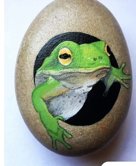 Animal Painted Rocks, Frog Rock, Painted River Rocks, Garden Rock Art, Diy Rock Art, Painted Rock Animals, Stone Art Painting, Painted Rocks Craft, Painted Rocks Diy