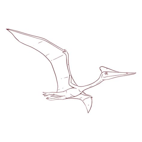 Quetzalcoatlus dinosaur drawn #AD , #AD, #AD, #drawn, #dinosaur, #Quetzalcoatlus Quetzalcoatlus Drawing, Pteranodon Art, Dinosaur Drawings, Geology Art, Dinosaur Tattoos, Dinosaur Drawing, Mo Design, Dinosaur Coloring, S Tattoo