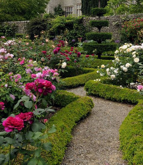 French Rose Garden, Rose Garden Landscape, Boxwood Garden, Rose Garden Design, Garden Makeover, Classic Garden, Better Homes And Garden, Topiaries, Formal Gardens