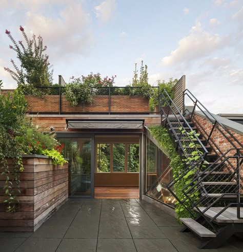 House With Plants, Street Townhouse, نباتات منزلية, Rooftop Terrace Design, Rooftop Design, Pergola Design, Roof Architecture, Terrace Design, Rooftop Garden