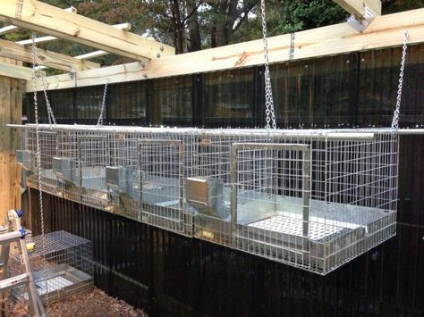 Rabbit Cages Outdoor, Rabbit Hutch Plans, Diy Rabbit Cage, Raising Rabbits For Meat, Diy Rabbit Hutch, Rabbit Pen, Raising Turkeys, Outdoor Rabbit Hutch, Rabbit Farm