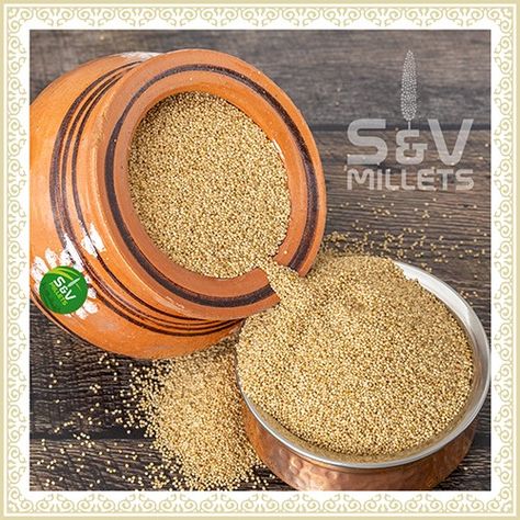 S&V considers little millet a "positive millet" (downloaded 2023/3/18) Names Of Fingers, Millet Benefits, Grains List, Kodo Millet, Pearl Millet, Food Illustration Design, Science Crafts, Plant Pictures, Millet