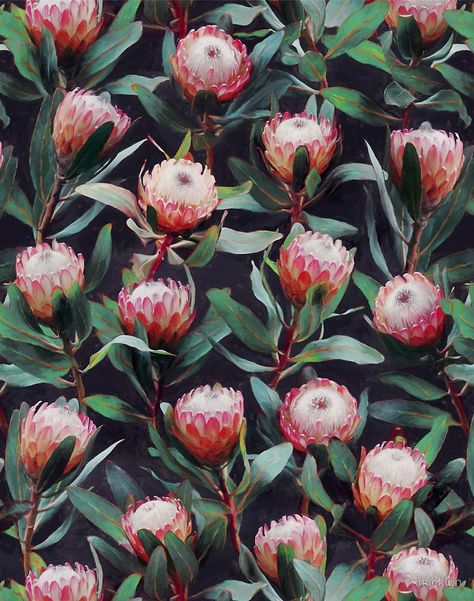 Evening Proteas - Pink on Charcoal by micklyn Protea Wallpaper, Charcoal Art, Baby Soft Toys, Organic Cotton Knit Fabric, Custom Printed Fabric, Minky Fabric, Black Paint, Floral Painting, Black Floral