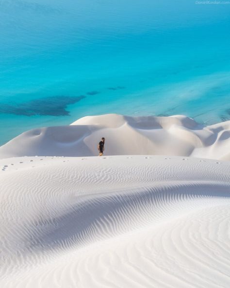 Yemen Socotra, Yemen Culture, Yemen Travel, Socotra Yemen, Socotra Island, Dragon Blood Tree, Travelling Ideas, Socotra, Arabian Peninsula