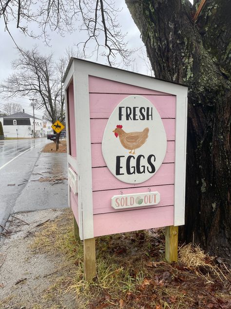 Roadside Egg Stand Ideas - One Hundred Dollars a Month Selling Chicken Eggs Stand, Easy Roadside Egg Stand, Self Serve Chicken Egg Stand, Self Serve Farm Egg Stand, Egg Selling Stand With Cooler, Chicken Egg Sale Stand, Egg Farmstand, Farm Stands Ideas, Small Roadside Farm Stand