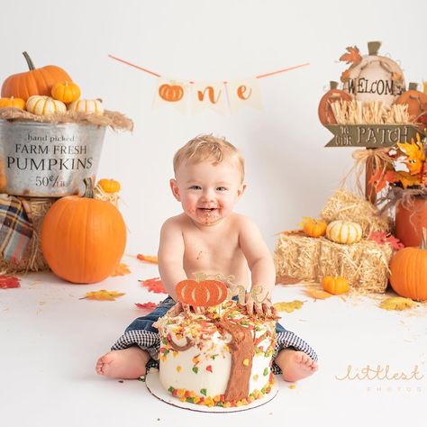 Littlest Wishes Photography on Instagram: “Today we celebrated William’s #firstbirthday with a #fall themed #cakesmash #photoshoot Every baby should celebrate with a special session…” Birthday Cake Photography, Fall Baby Birthday, Cakesmash Photoshoot, 1st Birthday Pumpkin, Wish Ideas, Pumpkin Cake Topper, Pumpkin Patch Birthday, Fall 1st Birthdays, Birthday Pumpkin