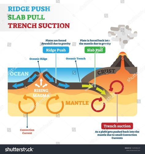 Ridge push, slab pull or trench suction labeled scheme vector illustration. Educational geography graphic with natural earth geological process. Continental drift, volcano eruption or seismic activity #Ad , #Ad, #scheme#labeled#vector#Educational Oceanic Ridge, Ocean Trench, Continental Drift, Volcano Eruption, Wedding Vector, Natural Earth, Volcano, Geology, Geography