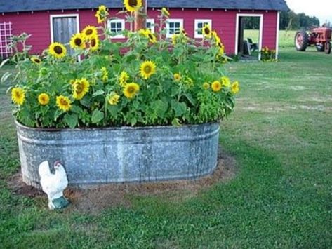 Super Easy & Creative Ways to Repurpose Water Troughs – Cowgirl Magazine Kolam Koi, Cool Ideas, Red Barn, Decor Minimalist, Country Gardening, Lawn And Garden, Shade Garden, Dream Garden, Yard Landscaping