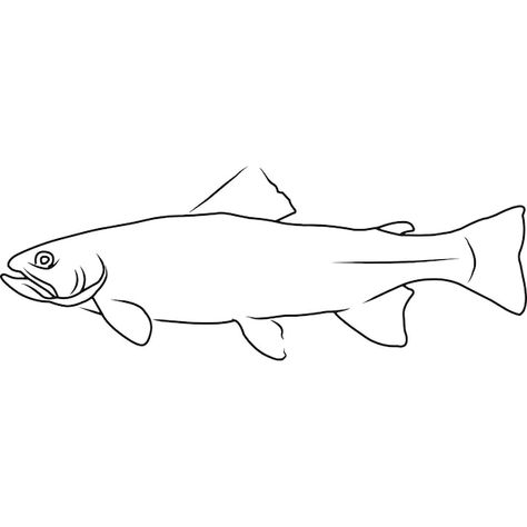 Trout Clip Art, Fishing Lures Drawing, How To Draw A Trout, Trout Drawing Simple, Trout Drawing, Fishing Drawing, Trout Tattoo, Cutthroat Trout, Art 2024