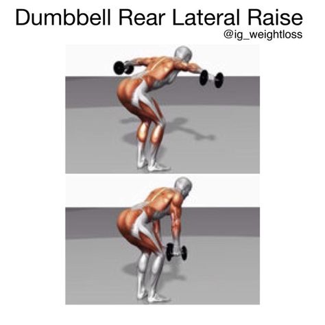 Primary muscle group: Shoulders Equipment: Dumbbells Lat Raises, Lat Workout, Weight Routine, Lateral Raises, Body Anatomy, Health Inspiration, Weekly Workout, Back Exercises, Summer Body