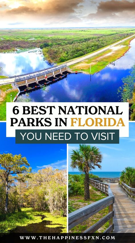 6 Best National Parks in Florida You Need To Visit Key Biscayne Florida, Florida National Parks, Florida Keys Road Trip, National Parks Road Trip, Florida Travel Destinations, Best National Parks, Cocoa Beach Florida, Florida State Parks, Everglades Florida