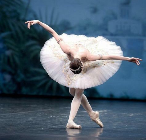 Taking a bow for today...Viktoria Tereshkina, Mariinsky Ballet, Photograph by Nikolay Krusser. Mariinsky Ballet, Hidden Language, Ballerina Poses, Swan Lake Ballet, Ballet Images, Bow Pose, Ballet Poses, Pretty Ballerinas, Curtain Call