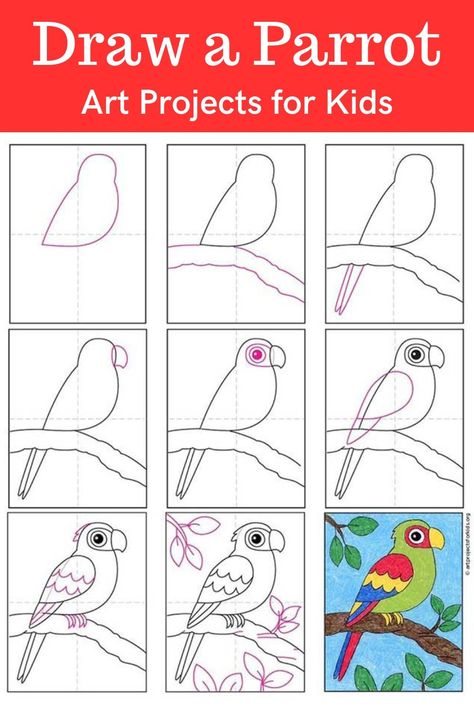 Learn how to draw a Parrot with an easy step-by-step PDF tutorial. #howtodraw #tutorial #drawing #drawingtutorial #arttutorial #artprojectsforkids #howtodrawforkids #parrotdrawing How To Draw A Parrot Step By Step, Parrot Drawing Step By Step, Boat Drawing Simple, Parrot Coloring Page, Draw A Parrot, Drawing Step By Step Easy, Cc Foundations, Easy Pencil Drawing, Easy Drawing Step By Step