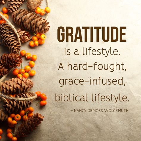 https://ambassadoradvertising.com/station-tool-kits/ Thanksgiving Quotes Christian, November Blessings, Encouragement Box, Seasonal Quotes, Nancy Demoss, Godly Women Quotes, Gratitude Attitude, Happy Thanksgiving Pictures, Gratitude Board