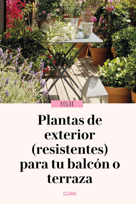 Plantas de exterior para que tu balcón o terraza parezcan un jardín Potted Tomato Plants, Hacienda Style Homes, Patio Projects, Courtyard Design, Plants Are Friends, Plant Hacks, Hacienda Style, Bonsai Garden, Plants And Flowers