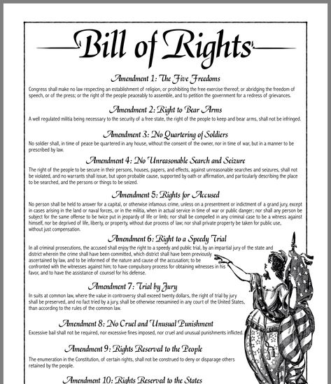 Government Lessons, Patriotic Printables, Teaching Government, The Bill Of Rights, United States History, Homeschool History, Bill Of Rights, History Education, Teaching Social Studies