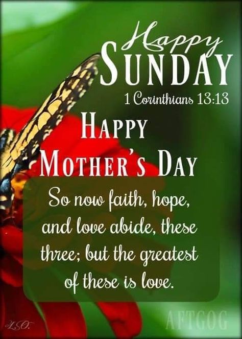 Sunday May 12, 2019. Happy Mother's Day! Sunday Mothers Day Blessing, Happy Mothers Day Religious, Mothering Sunday Quotes, Mother's Day Blessing, Fathers Day Images Free, Mothers Day Verses, Good Morning Saturday Wishes, Holiday Memes, Mother's Day In Heaven