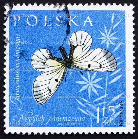 Vintage Stamps Postage, Postage Stamp Design, Postcard Stamps, Butterfly Stamp, Postage Stamp Art, Stamp Printing, Dark Art Drawings, Vintage Postage, Expressive Art