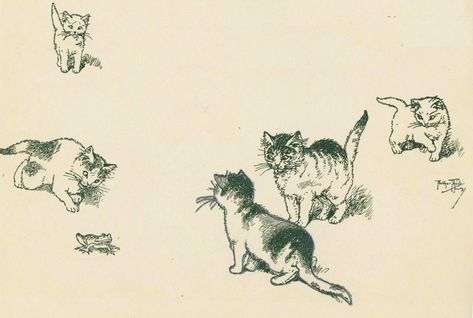 ill-pag-i-b_5108875940_o #cats #kittens #cat #kitten #vintage #retro #feline #photo #art Kitten Tattoo, Kitten Images, Vintage Animals, Cat Doodle, Cats Kittens, Vintage Cat, Vintage Images, Feline, Photo Art