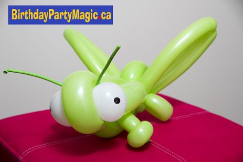 Hoppy, hoppy, little grasshopper! Ballon Art, Balloon Twisting, Balloon Ideas, Balloon Sculptures, Decorations Party, Balloon Animals, Balloon Decorations Party, Balloon Art, Art Party