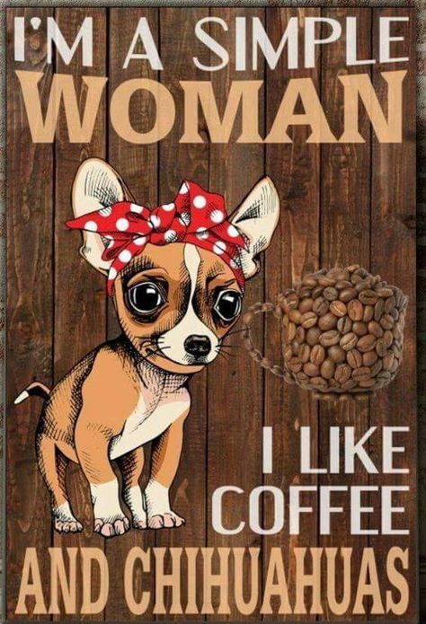 Chihuahua Quotes, Chihuahua Art, Simple Woman, Chihuahua Mom, Chihuahua Funny, Coffee Sign, San Bernardo, Cute Chihuahua, Album Photos