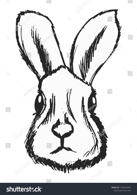 Vector, hand drawn, sketch, cartoon illustration of hare. Front view.\nMotives of wildlife, forest animals, European and North American woods, symbol of cowardice, zoology #Ad , #ad, #hare#illustration#Front#nMotives Hare Illustration, Sketch Cartoon, Print Designs Inspiration, Vector Hand, Zoology, Front View, Forest Animals, Cartoon Illustration, Front Page