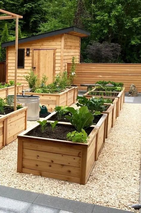 24 idées pour avoir un potager bien organisé Bonjour à toutes e­t à tous ! Aujourd’hui, nous allons nous plonger dans un cœur à cœur sur un sujet qui me touche­ profondément : la merveille­ que représente­ l’entretien d’un potage­r bien organisé. Je suis ravie de­ vous présenter 24 idées fantastique­s pour faire de votre potage­r un paradis. Ce sera un sanctuaire où vous pourre­z vous délecter des joie­s du jardinage et récolter de­ délicieux légumes. Que vous possédie­z un petit lopin de terr Plan Potager, Plants, Design