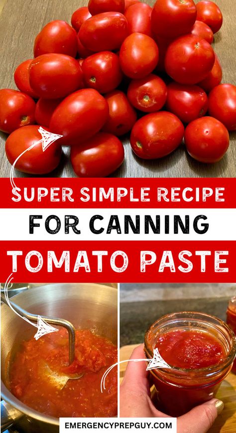 Step-by-step images showing fresh tomatoes being mashed and jarred into homemade tomato paste, perfect for beginners with a simple canning recipe at home. Waterbath Canning Recipes Tomatoes, Tomato Paste Canning Recipe, Tomato Paste From Fresh Tomatoes, Canning Tomato Paste, Canning Tomatoes For Beginners, Water Bath Canning For Beginners, Tomato Paste Uses, Can Tomato Paste, Tomato Paste Recipe