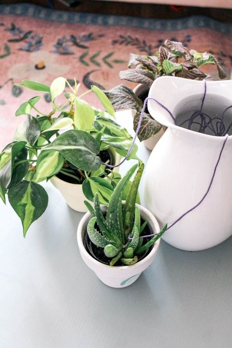 Plant Watering System, Diy Tips And Tricks, Self Watering Plants, Plant Watering, Watering System, Farm Ideas, Outdoor Plant, Diy Upcycling, Indoor Gardening