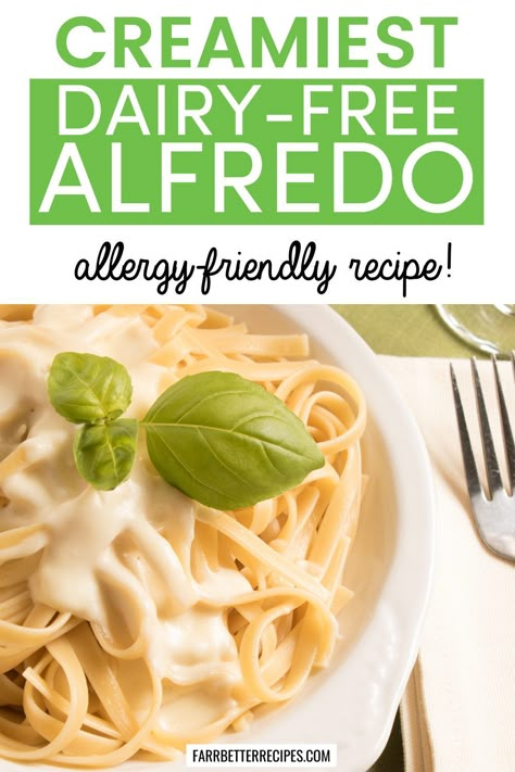 Dairy Free White Sauce, Dairy Free Alfredo Sauce, Lactose Free Milk, Dairy Free Cream, Bariatric Eating, Soy Free Recipes, Pasta Spaghetti, Alfredo Sauce Recipe, Be Irresistible