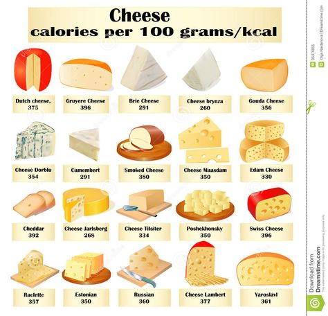 different cheese | Illustration of a set of different kinds of cheese with calories. Wine Party Appetizers, Cheese Types, Cheese Illustration, Art Du Vin, Cheese Recipes Homemade, Cheese Triangles, Perfect Cheese Board, French Cheese, Cheese Pairings