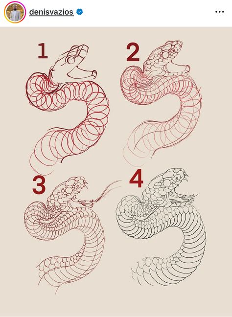 Snake Anatomy Drawing, White Snake Drawing, Snake Reference Drawing, How To Draw Snake, Japanese Snake Art, How To Draw Snakes, Snake Scales Pattern, Snake Draw, Snake Reference