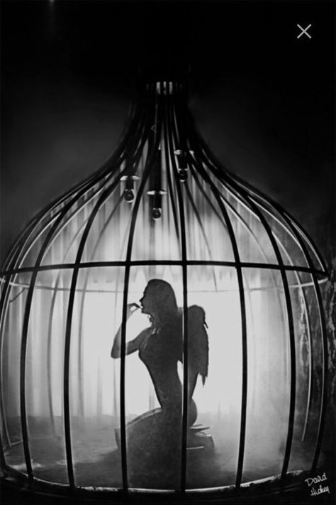 Marionette Tattoo, Bird In A Cage, Ange Demon, Night Circus, Dark Angels, Angels Among Us, Fallen Angels, Foto Art, Trik Fotografi