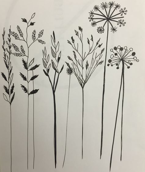 Line drawing of flower heads and seed heads sketchbook idea by Lizzie Reakes Seedheads Drawing, Seed Heads Drawing, Woven Drawing, Porch Conservatory, Sketchbook Idea, Canvas Mixed Media, Flower Line Drawings, Christmas Windows, Head Art