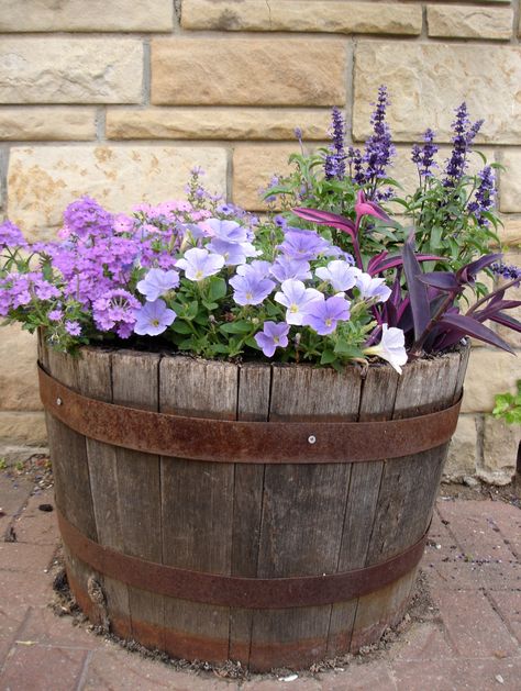 May 22, 2012 on the sidewalk, always two big whisky barrels of flowers...usually purples. Flowers In Barrels, Whisky Barrel Flowers, Flower Barrel Ideas, Wiskey Barrell Ideas Plants, Barrel Flower Pot Ideas, Whiskey Barrel Planter Flowers, Barrel Garden Ideas, Barrel With Flowers, Whiskey Barrel Flowers