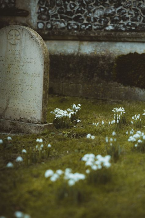 Easter Rising, Scary Images, Gray Concrete, Wall Photo, Grey Wallpaper, Concrete Wall, Animals Images, Tombstone, Book Aesthetic