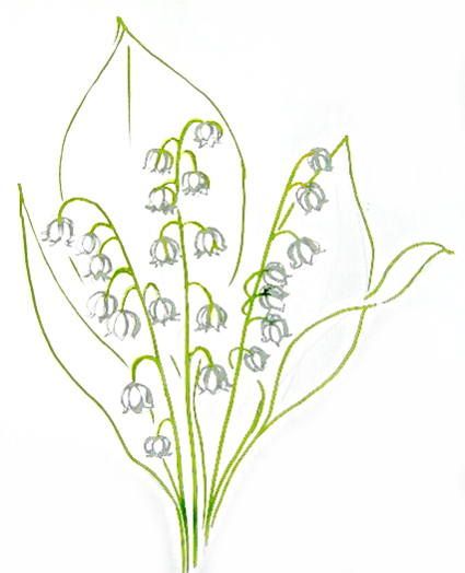 How to draw a Lily of the valleys Lily Of The Valley Drawing Step By Step, How To Draw Lily Of The Valley, Lily Of The Valley Doodle, Annie Tattoo, Lily Of The Valley Drawing, Valley Drawing, Jewelry Tattoo Designs, Watercolor Flowers Tutorial, Drawing Lesson