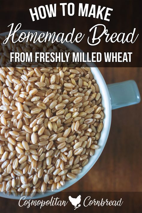 Bread From Fresh Ground Wheat, How To Mill Wheat, Fresh Milled Grain Bread, Grinding Wheat For Bread, Wheatberry Bread Recipe, Bread From Freshly Milled Flour, Soft White Wheat Berries Recipes, Freshly Milled Flour Bread, Fresh Milled Wheat Bread Recipes