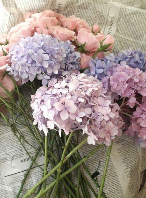 Tattoo Plant, Spring Floral Arrangements, Wedding Bouquets Pink, Purple Wedding Flowers, Hydrangea Purple, Nothing But Flowers, Pink And Purple Flowers, Pink Wedding Flowers, Pink Hydrangea