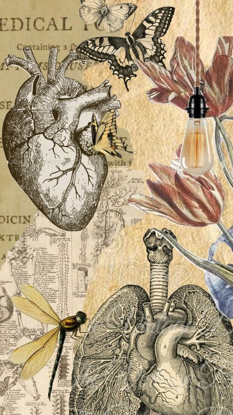 Science Respiratory System, Vintage Medical Art, Helloween Wallpaper, Medical Posters, Medical Wallpaper, Biology Art, Etiquette Vintage, Romantic Wallpaper, Gothic Wallpaper