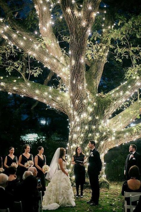 Night Wedding Ceremony, Outdoor Night Wedding, Romantic Backyard, Fairy Lights Wedding, Wedding Ceremony Ideas, Sparkle Wedding, Outdoor Wedding Decorations, Mod Wedding, Tree Wedding