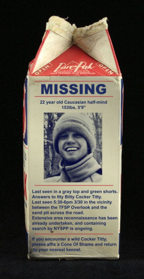 Itty went missing on IH3's Beaster Egg hash, I made this graphic in the wake of that insane hash. -Itty's Missing Milk Carton Milk Carton Missing Person, Missing Milk Carton, Milk Carton Design, Real Ghost Photos, Real Ghost, Carton Design, Product Shooting, Sand Pit, Stencil Projects