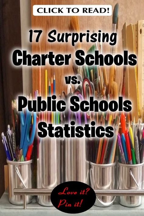 Wondering about charter school vs public school? The differences between charter schools vs public schools may surprise you. While there are epic charter schools, the rights respecting schools charter aren’t always equal. Here, we’ll look at charter schools and their enemies and why some people oppose them. Public schools vs private schools. Are public schools always better? Or are charter schools always better? #CharterSchools #EducationalFreedom #EducationalAlternatives #EducationStatistics Private School Vs Public, Rights Respecting Schools, Science Gadgets, Teaching Class, Homeschool Board, Third Grade Science, School Mom, Private Schools, Vegan Kids