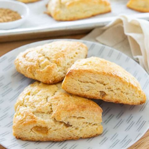 Zingerman's Ginger Scones Ginger Scones Recipe, Ginger Scones, Lost Kitchen, Light Ginger, Candied Lemon Peel, Scones Recipe Easy, Specialty Food Store, Scones Easy, Recipe Breakfast