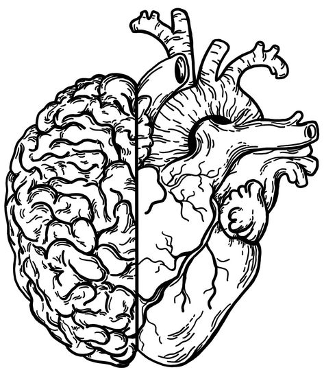 Butterflies Poster, Nuclear Explosion, Brain Drawing, Art Anatomy, Half Heart, Brain Art, Výtvarné Reference, Butterfly Poster, Brain And Heart