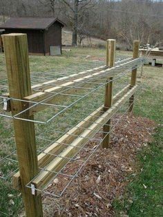 Berry Garden, Trellis Fence, Diy Garden Trellis, Garden Arbor, Veg Garden, Have Inspiration, Garden Yard Ideas, Vegetable Garden Design, Fruit Garden