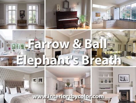 Farrow Elephants Breath Paint, Grey Colour Chart, Popular Grey Paint Colors, Shades Of Grey Paint, Warm Grey Paint Colors, Purple Paint Colors, Best Neutral Paint Colors, Elephants Breath, Yellow Paint Colors