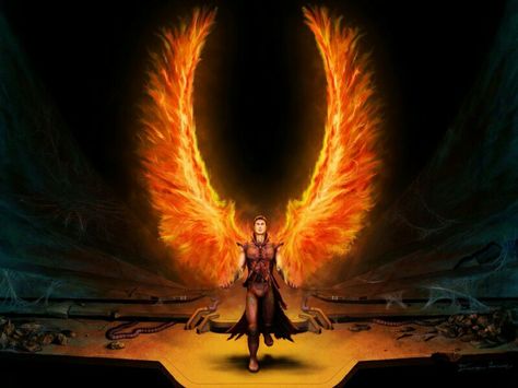 Angel with Fire Wings Dark Angel Wings, Phoenix Wings, Fantasy Angel, Wings Wallpaper, Fire Eyes, Angel Wallpaper, Flame Art, Angel Images, Angel Warrior