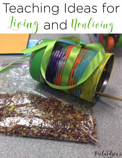 Living And Nonliving Activities, Living And Nonliving Things, Apple Kindergarten, Spring Science, Living And Nonliving, Science Anchor Charts, Interactive Notebook Activities, Apple Activities, Balanced Literacy